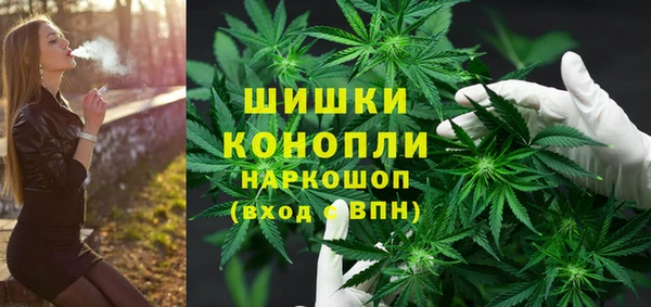 винт Аркадак